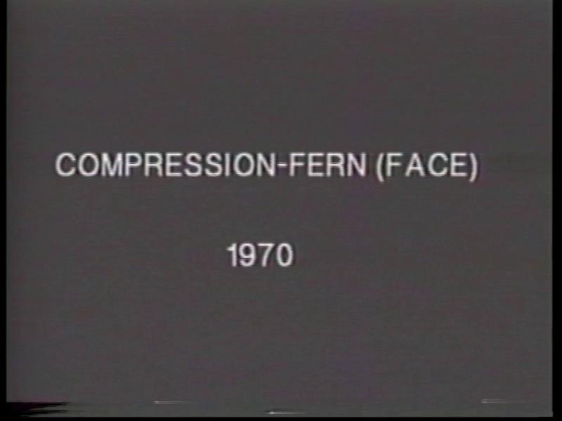 Compression - Fern (Face). From the series Aspen Projects