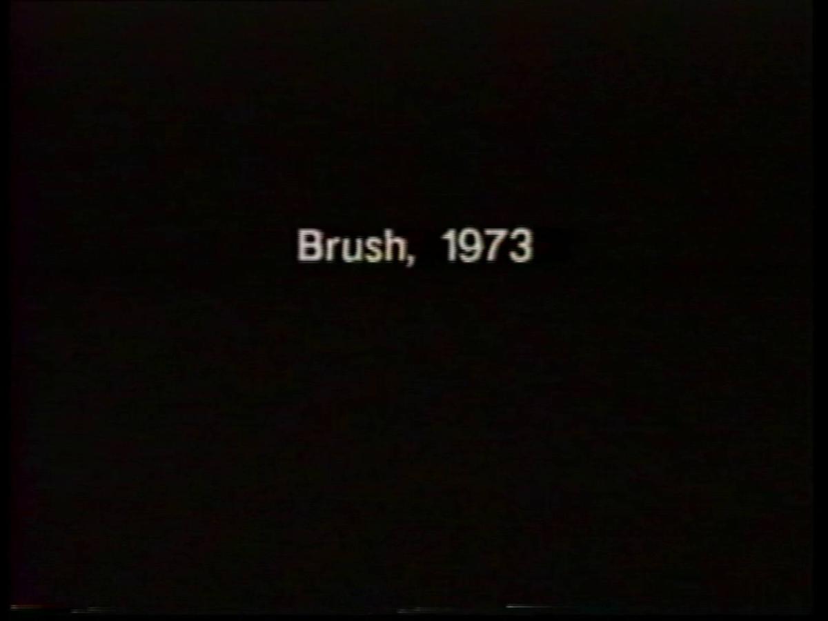 Brush. From the series Program Three