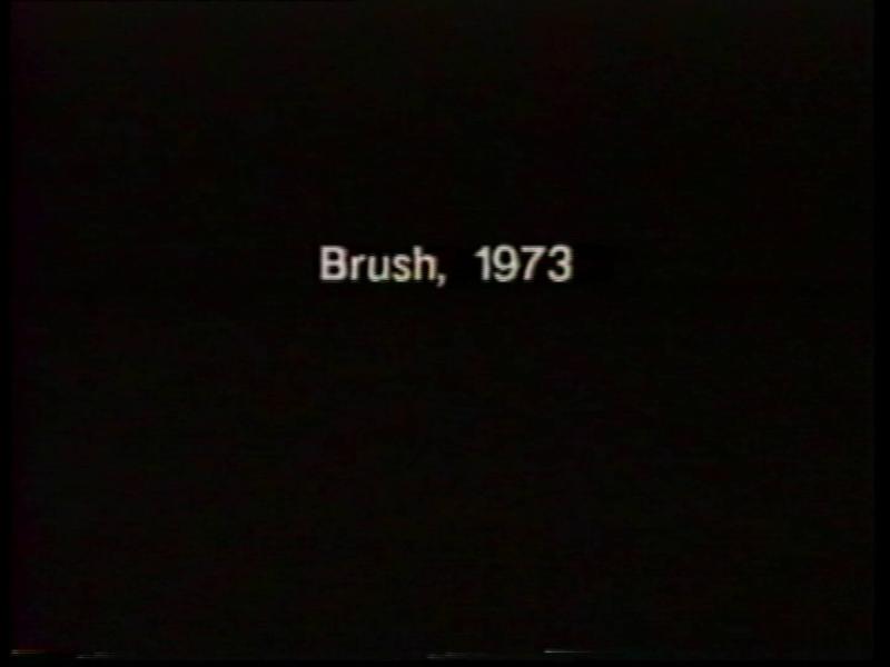 Brush. From the series Program Three
