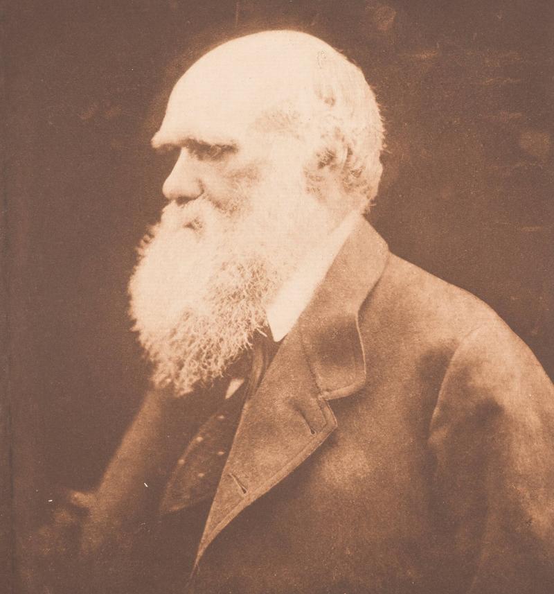 Charles Darwin. From the book Alfred, Lord Tennyson and his friends, T. Fischer Urwin, Paternoster Square, London 1893