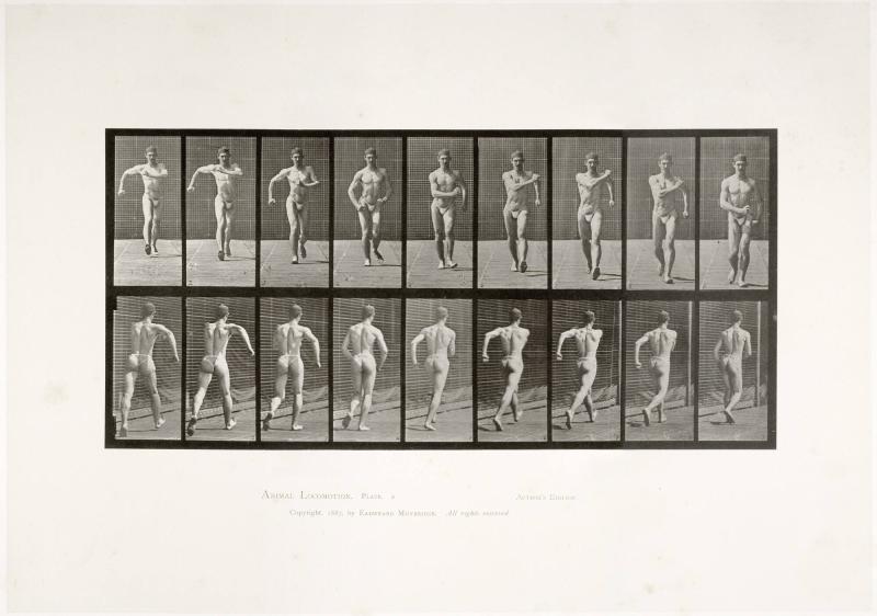 Animal Locomotion, plate 3. Ur serien Animal Locomotion by Eadweard Muybridge 1872-1885 Plates University of Pennsylvania
