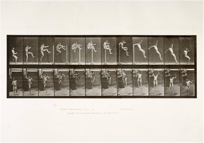 Animal Locomotion, plate 152. Ur serien Animal Locomotion by Eadweard Muybridge 1872-1885 Plates University of Pennsylvania