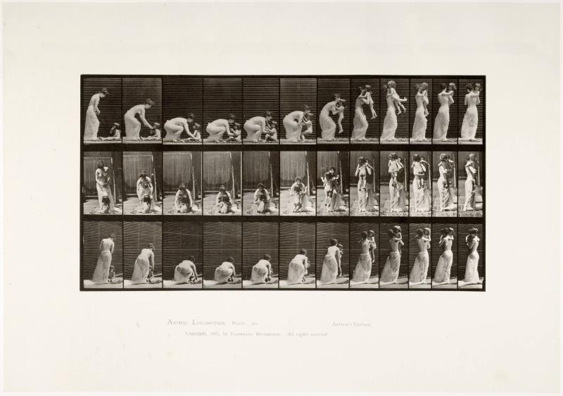 Animal Locomotion, plate 214. Ur serien Animal Locomotion by Eadweard Muybridge 1872-1885 Plates University of Pennsylvania