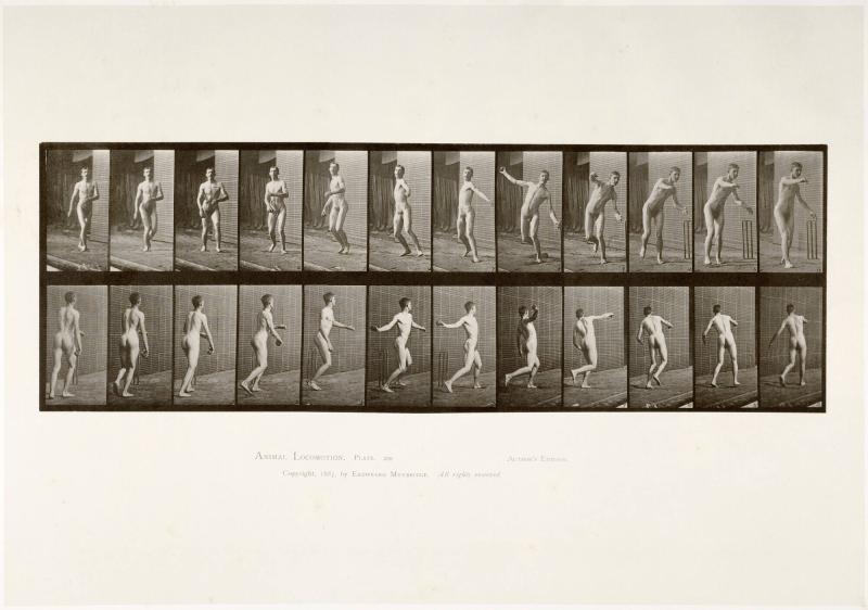 Animal Locomotion, plate 289. Ur serien Animal Locomotion by Eadweard Muybridge 1872-1885 Plates University of Pennsylvania
