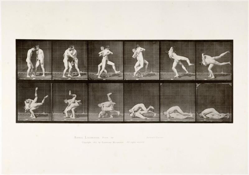 Animal Locomotion, plate 347. Ur serien Animal Locomotion by Eadweard Muybridge 1872-1885 Plates University of Pennsylvania