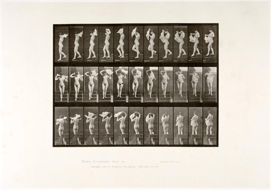 Animal Locomotion, plate 133. From the series Animal Locomotion by Eadweard Muybridge 1872-1885 Plates University of Pennsylvania