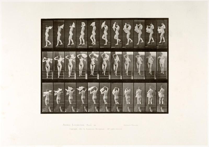 Animal Locomotion, plate 133. From the series Animal Locomotion by Eadweard Muybridge 1872-1885 Plates University of Pennsylvania