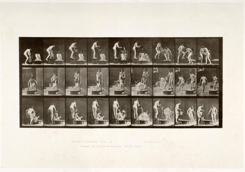 Animal Locomotion, plate 408. Ur serien Animal Locomotion by Eadweard Muybridge 1872-1885 Plates University of Pennsylvania