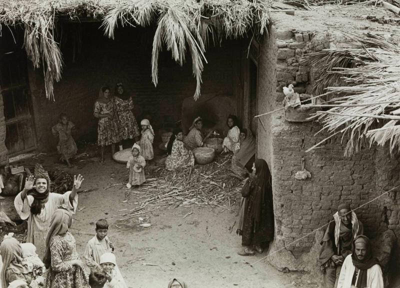 Bondgård i El Fayoum, Egypten 1978