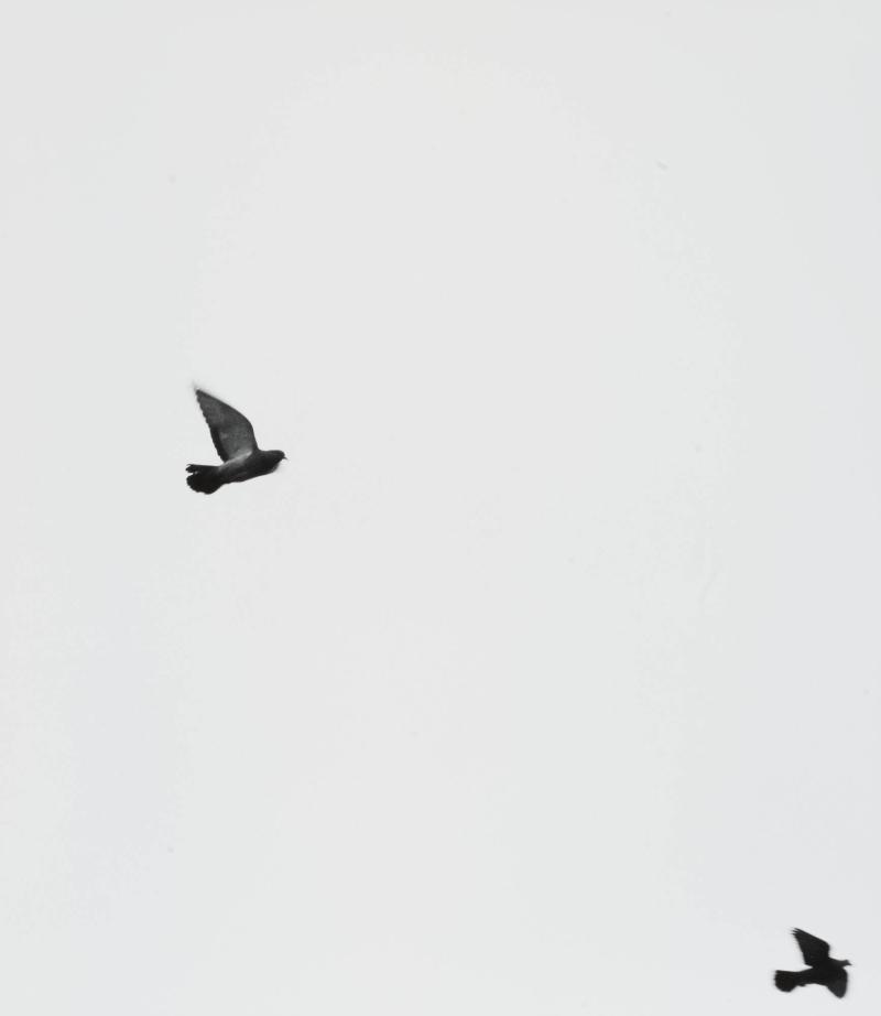Duvor