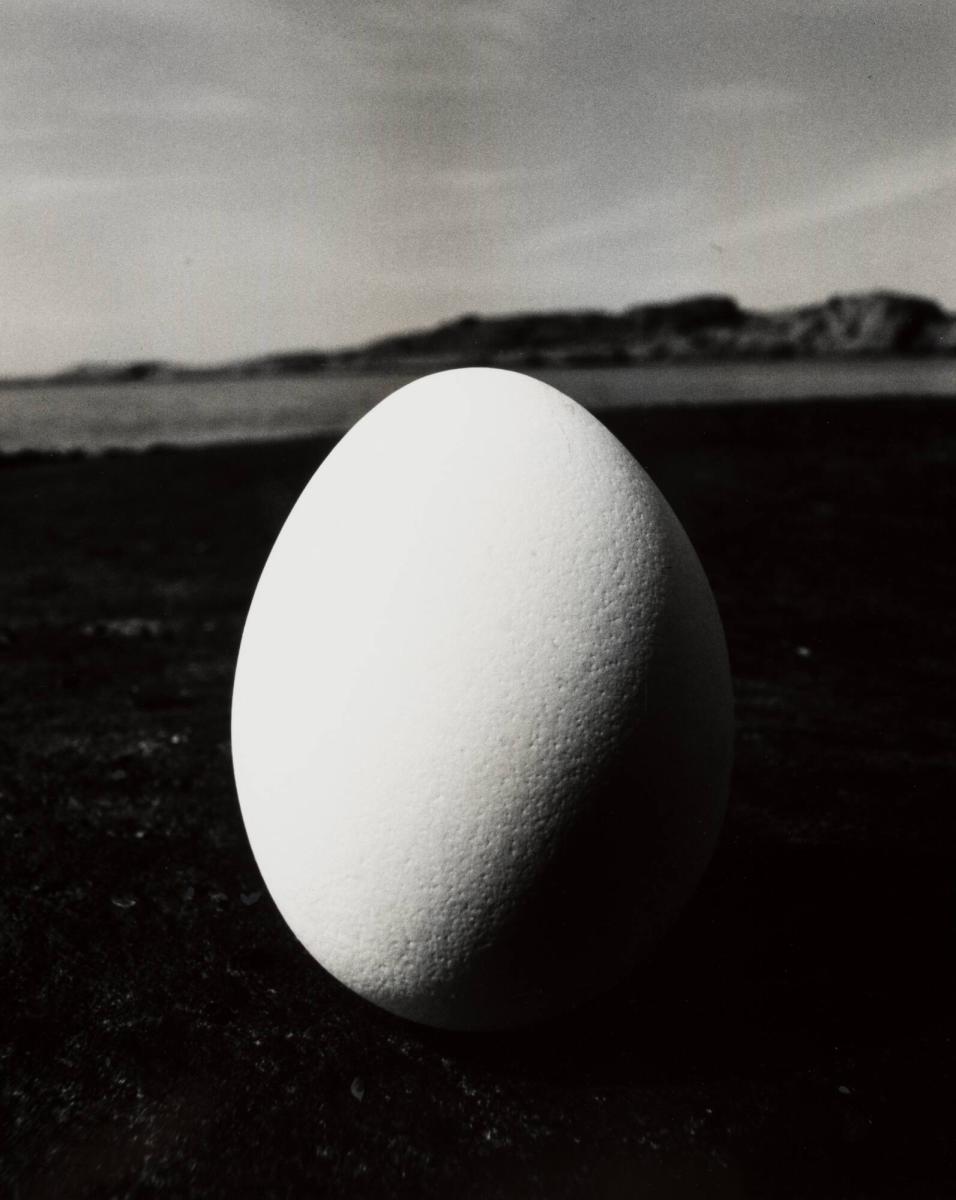 Ägg III
