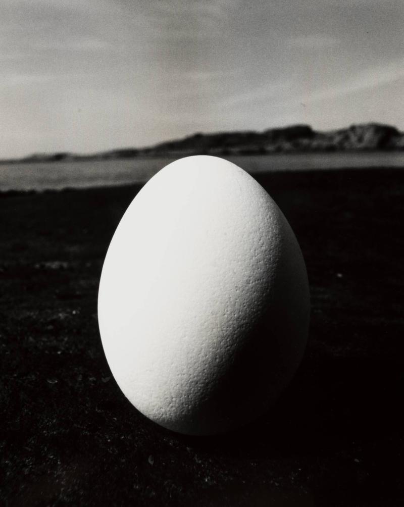 Ägg III