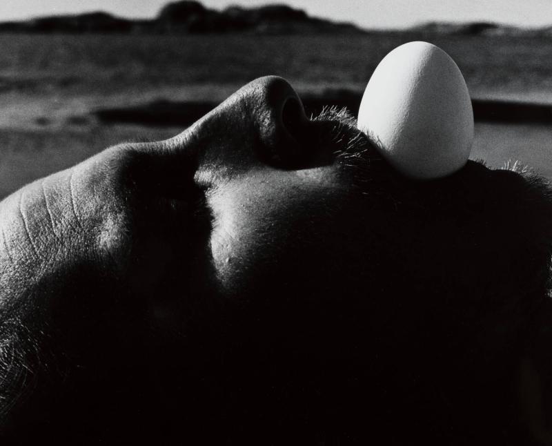 Ägg IX