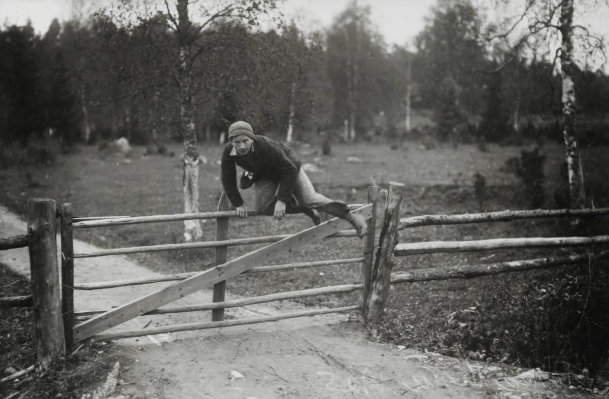 Folke Törn, jägmästare