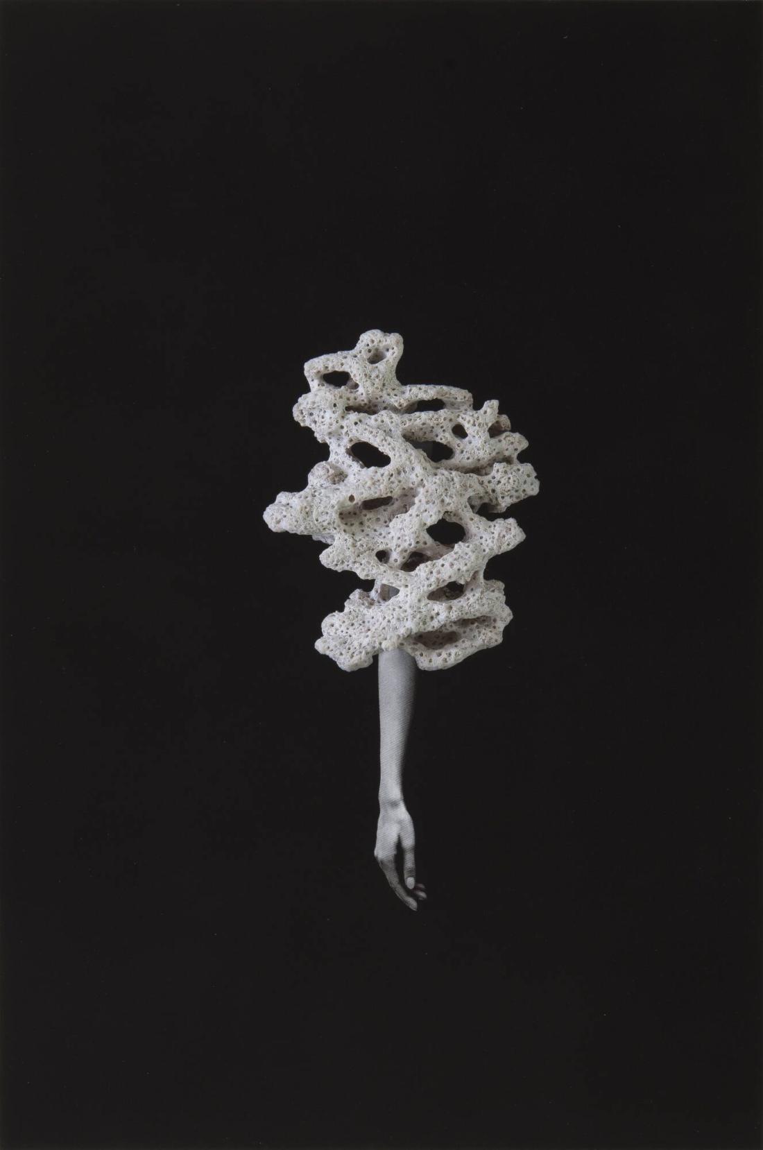 Coral Arm. Ur serien Body Geology