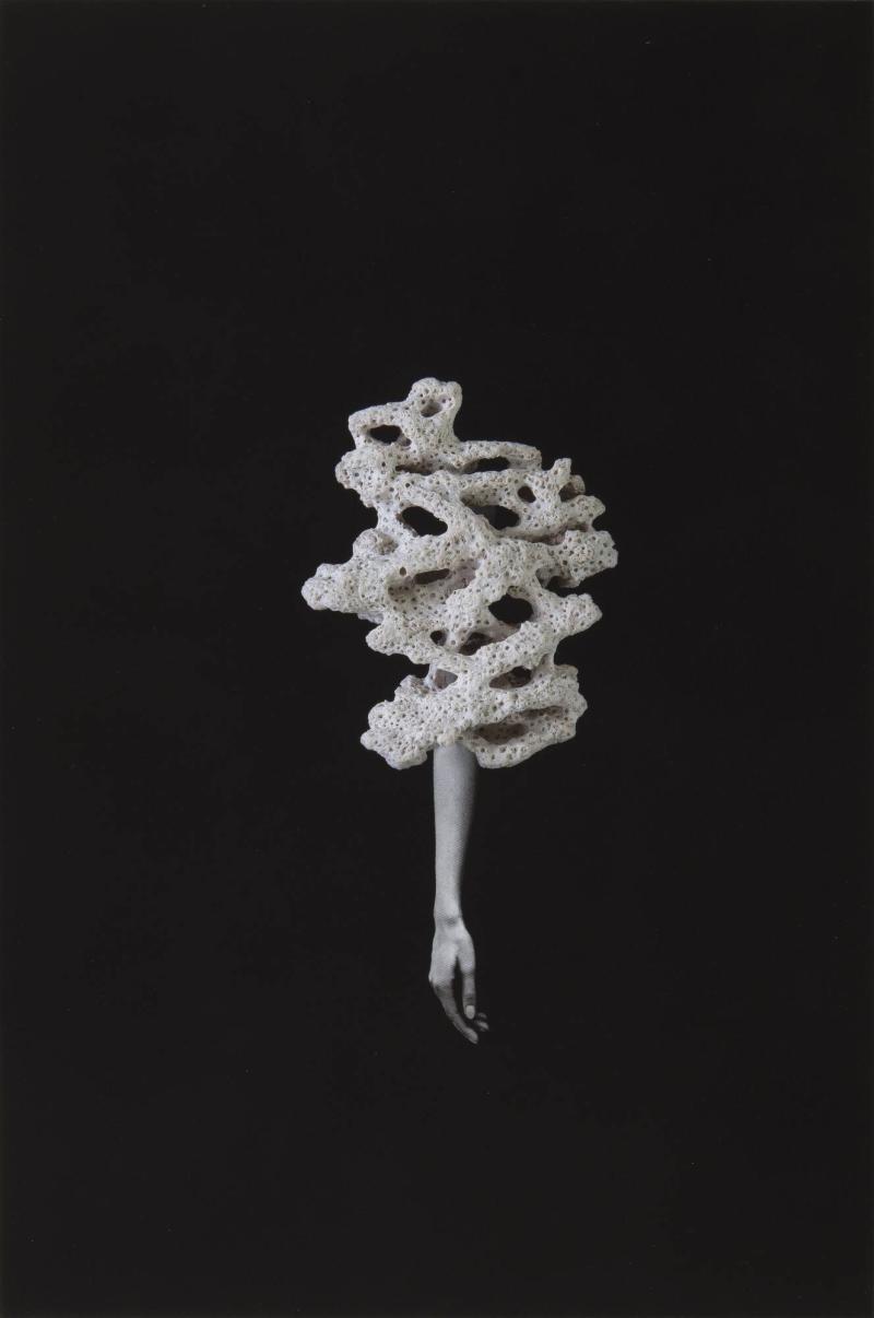 Coral Arm. Ur serien Body Geology