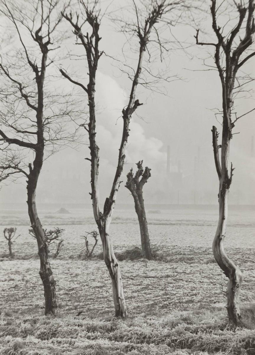 Landschaft bei Hamborn