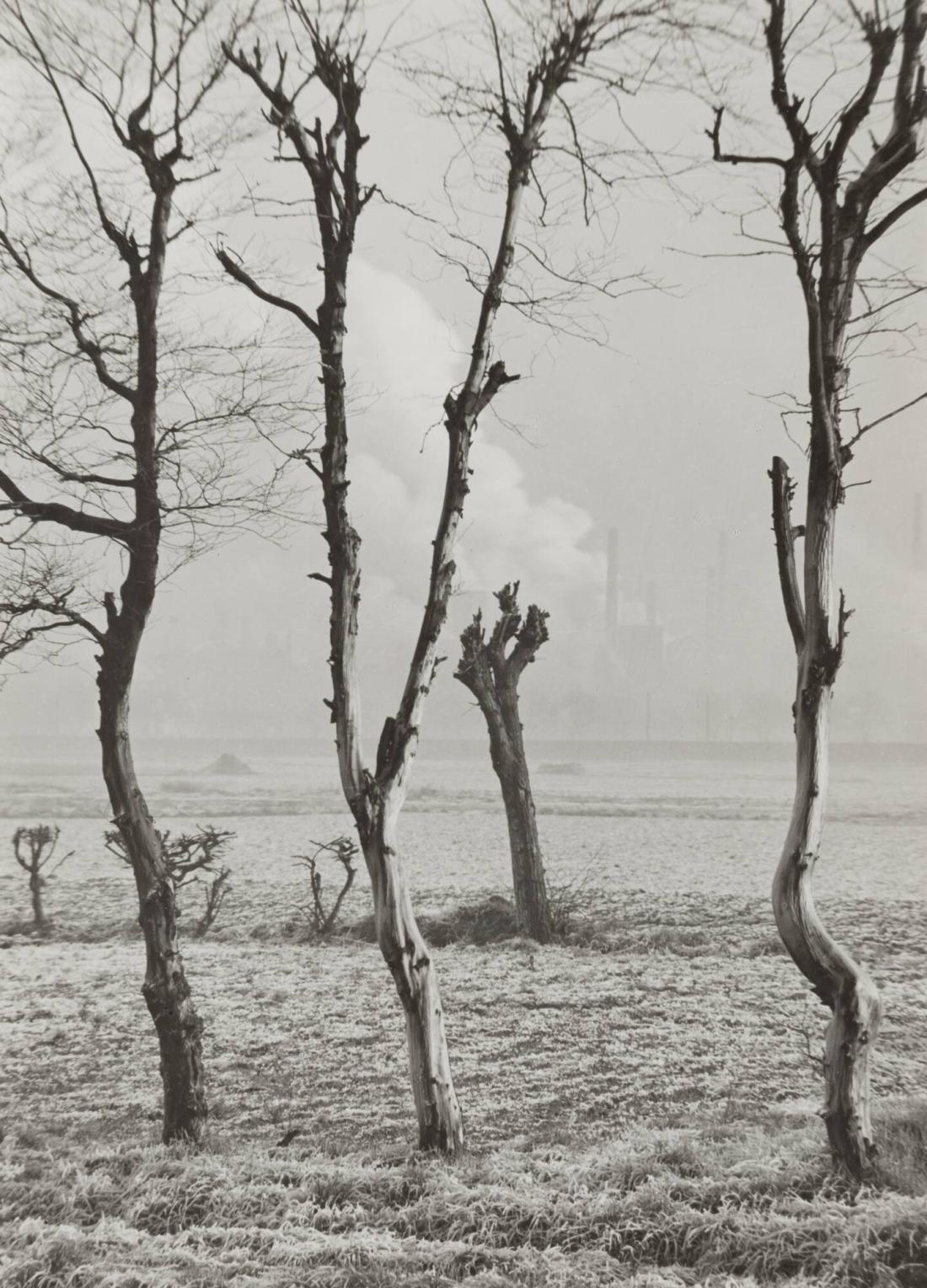 Landschaft bei Hamborn