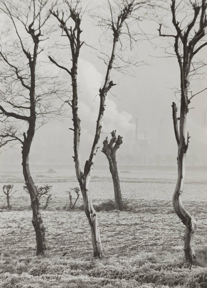 Landschaft bei Hamborn