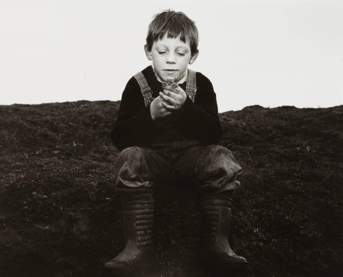 Rocker and his Toad