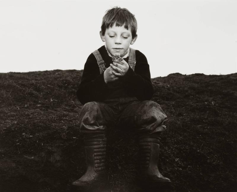 Rocker and his Toad