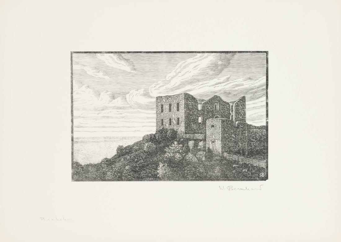 Brahehus slottsruin, Jönköpings län