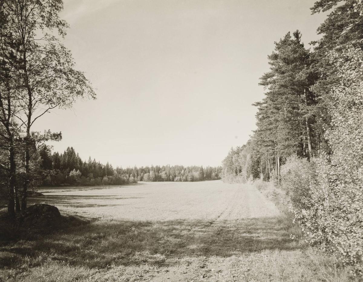 Stockholm kommer denna sommar (1931) att få sin tredje golfbana färdig, en 18-håls bana med en ytvidd av 45 ha, belägen i det natursköna Djursholm
