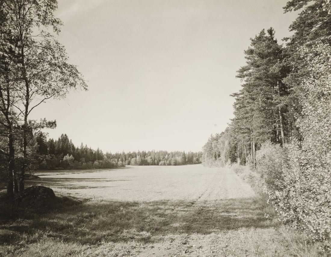 Stockholm kommer denna sommar (1931) att få sin tredje golfbana färdig, en 18-håls bana med en ytvidd av 45 ha, belägen i det natursköna Djursholm