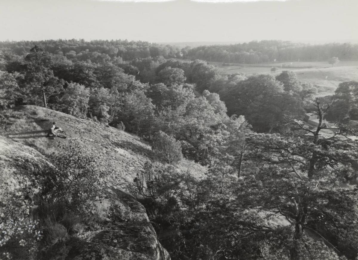 Landskap vid Djupadal