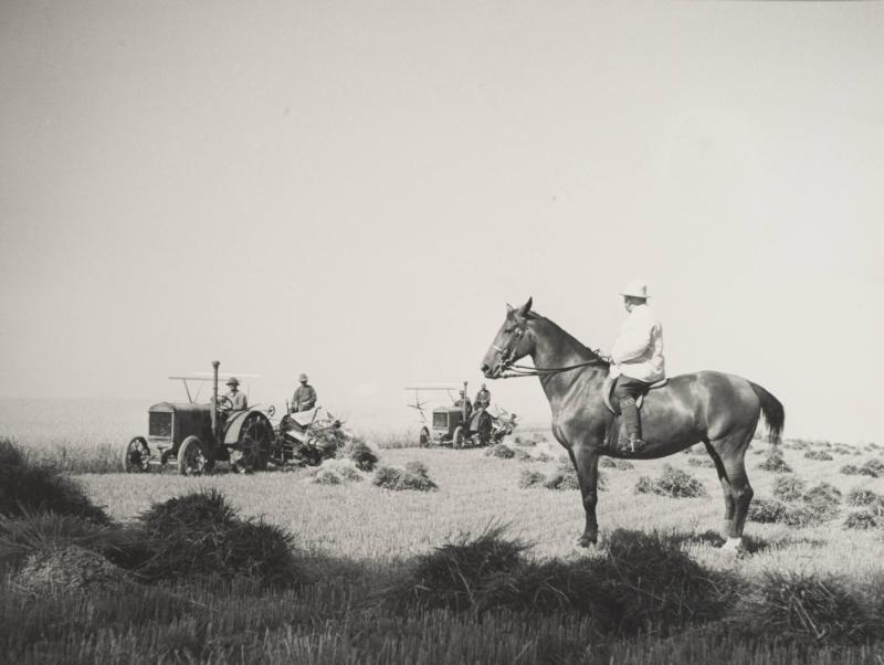 Veteskörd på storgods, Skåne