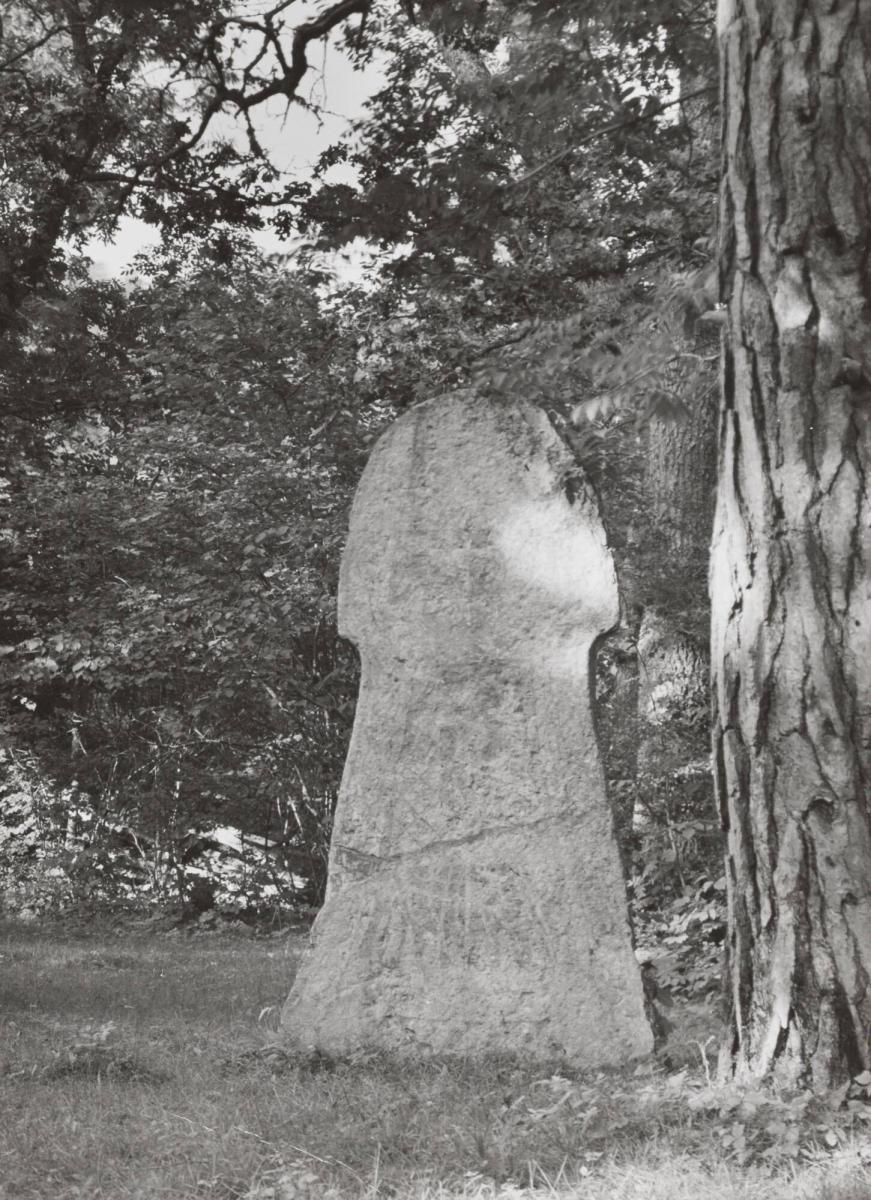 Bildsten. Hammars äng.