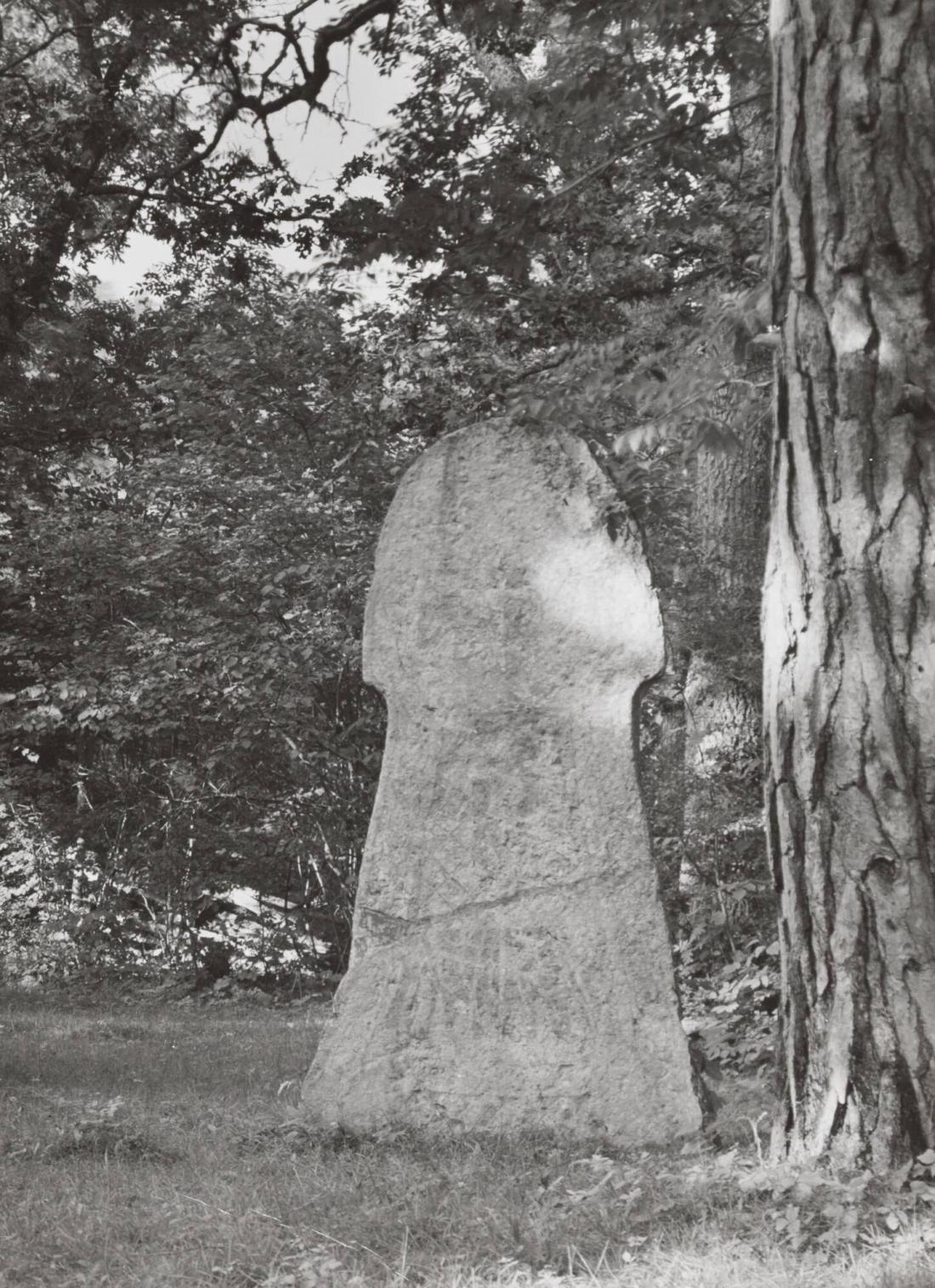 Bildsten. Hammars äng.