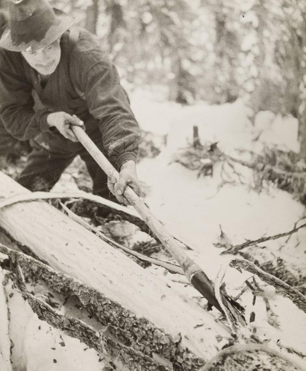 Carl Gustaf Rosenberg