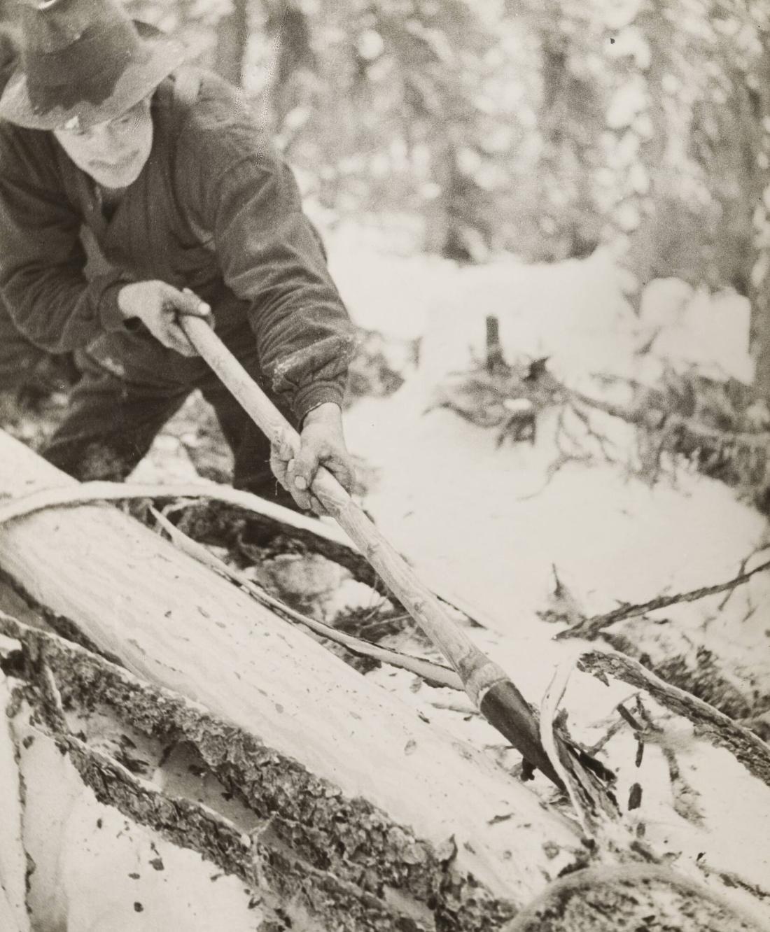 Carl Gustaf Rosenberg