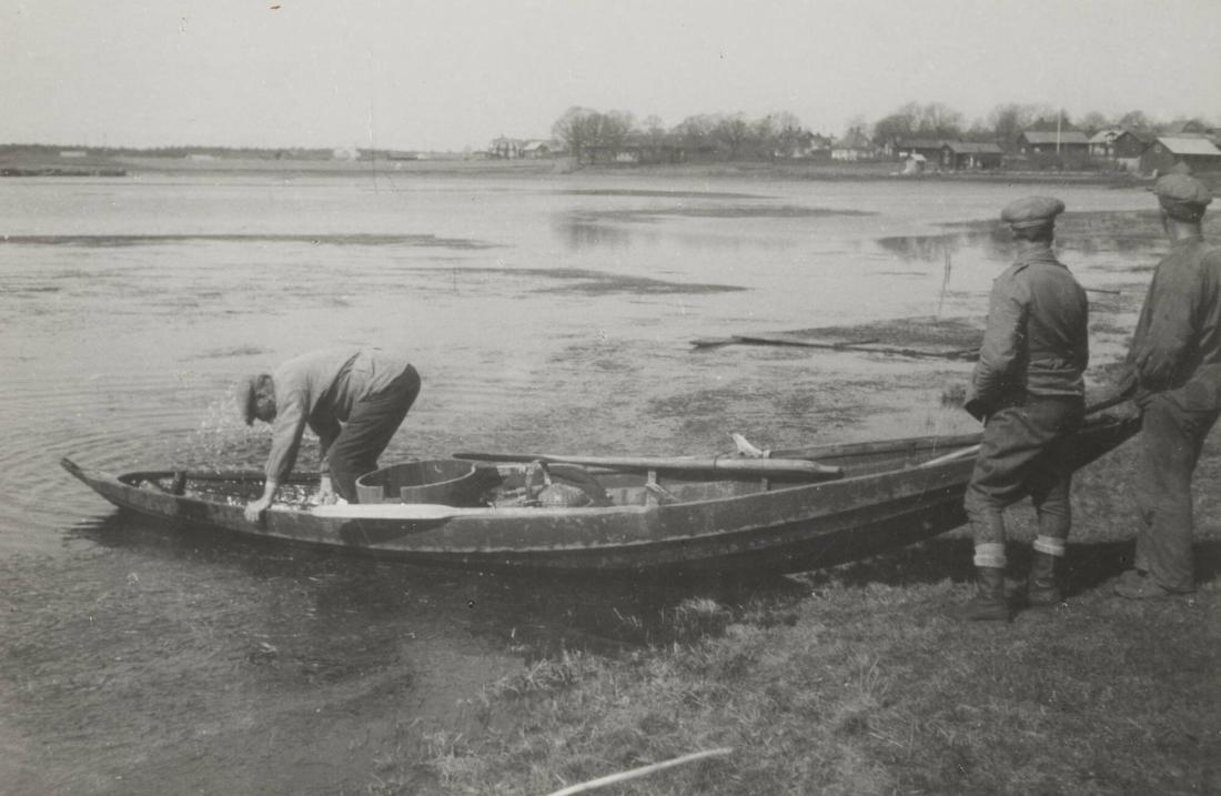 Affisch för gäddfisk, Hedesunda