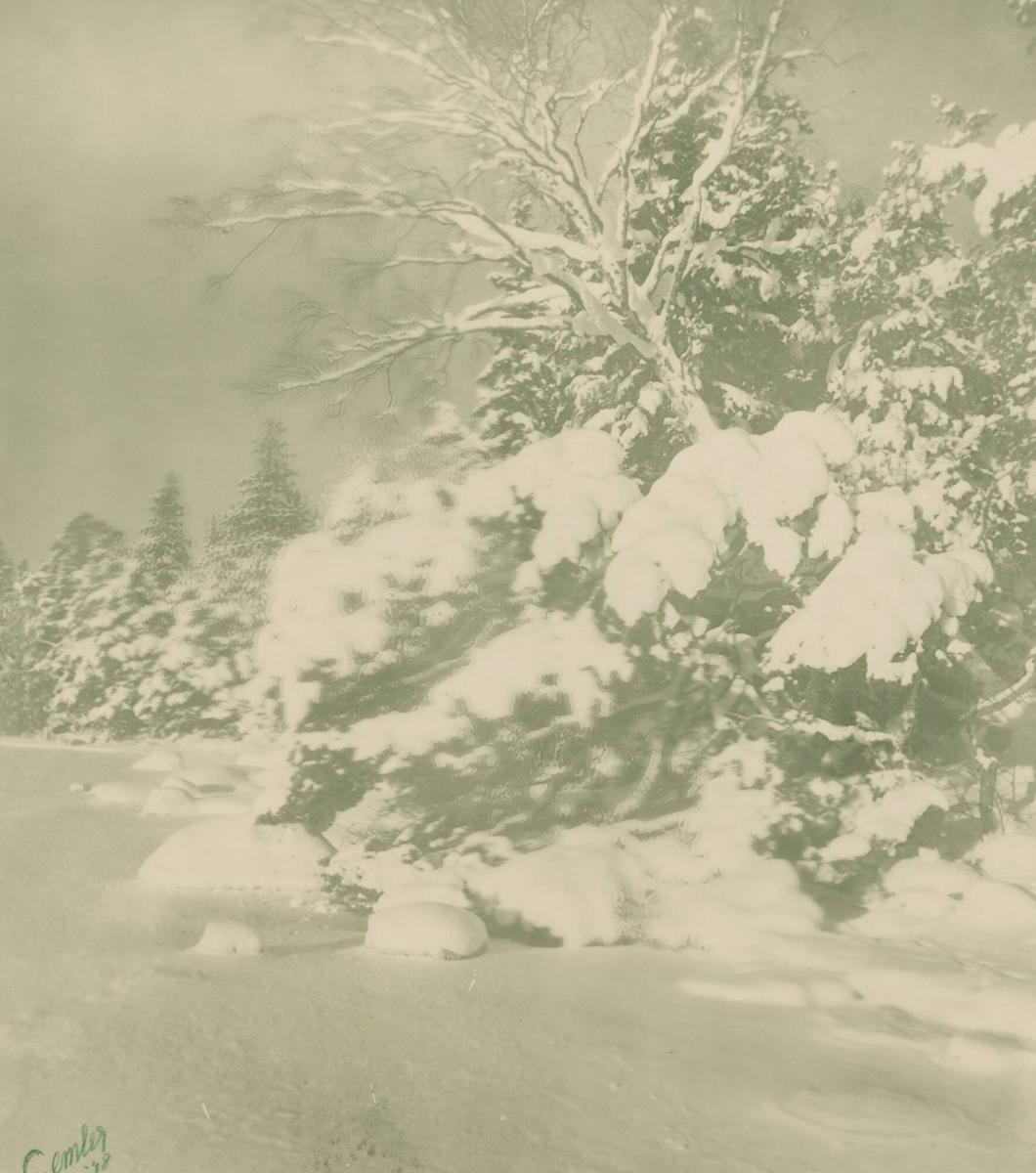 Gråväder