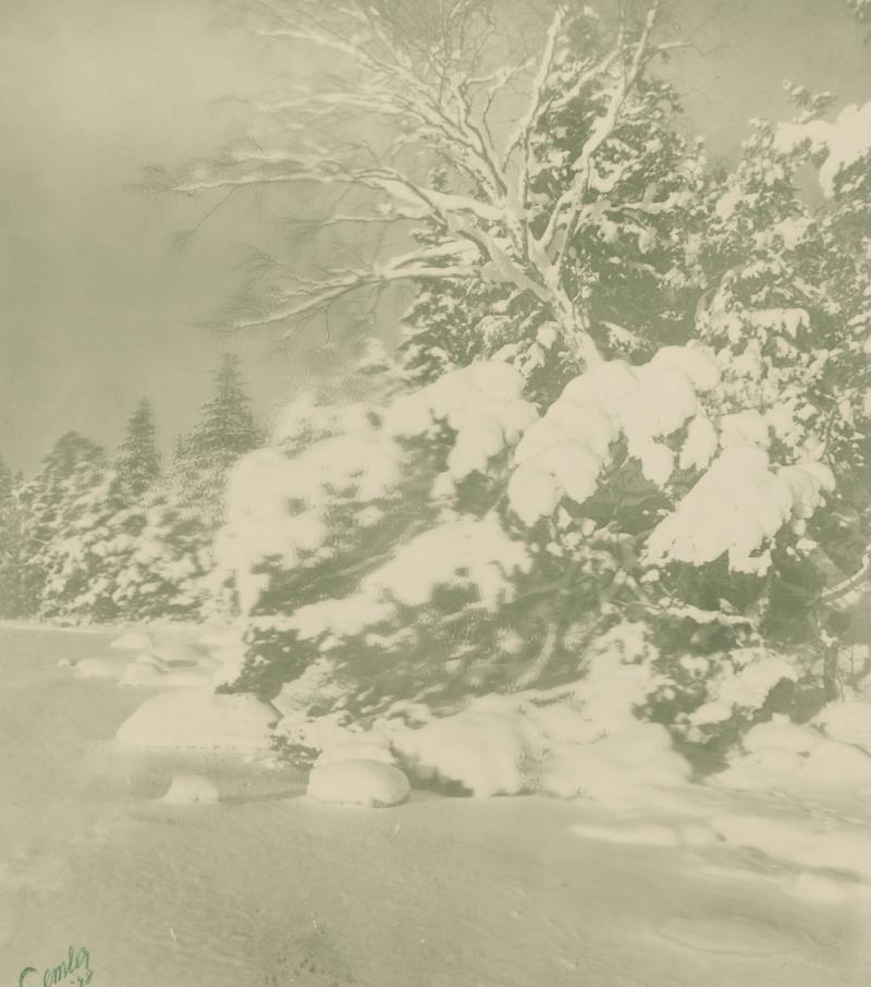 Gråväder