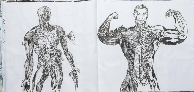 Studier av människor och mig själv som tränar