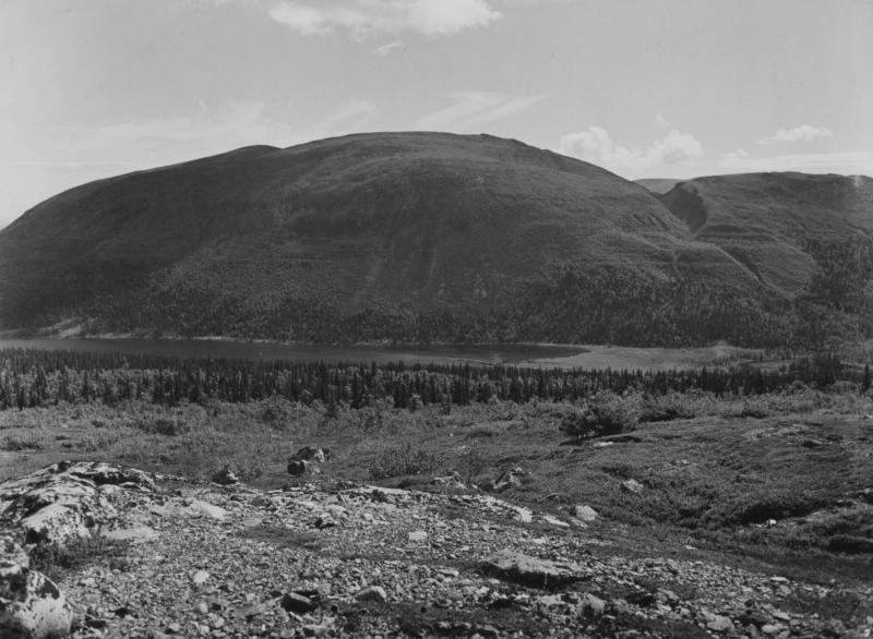 Drammen från Västerfjällen, Bydalen