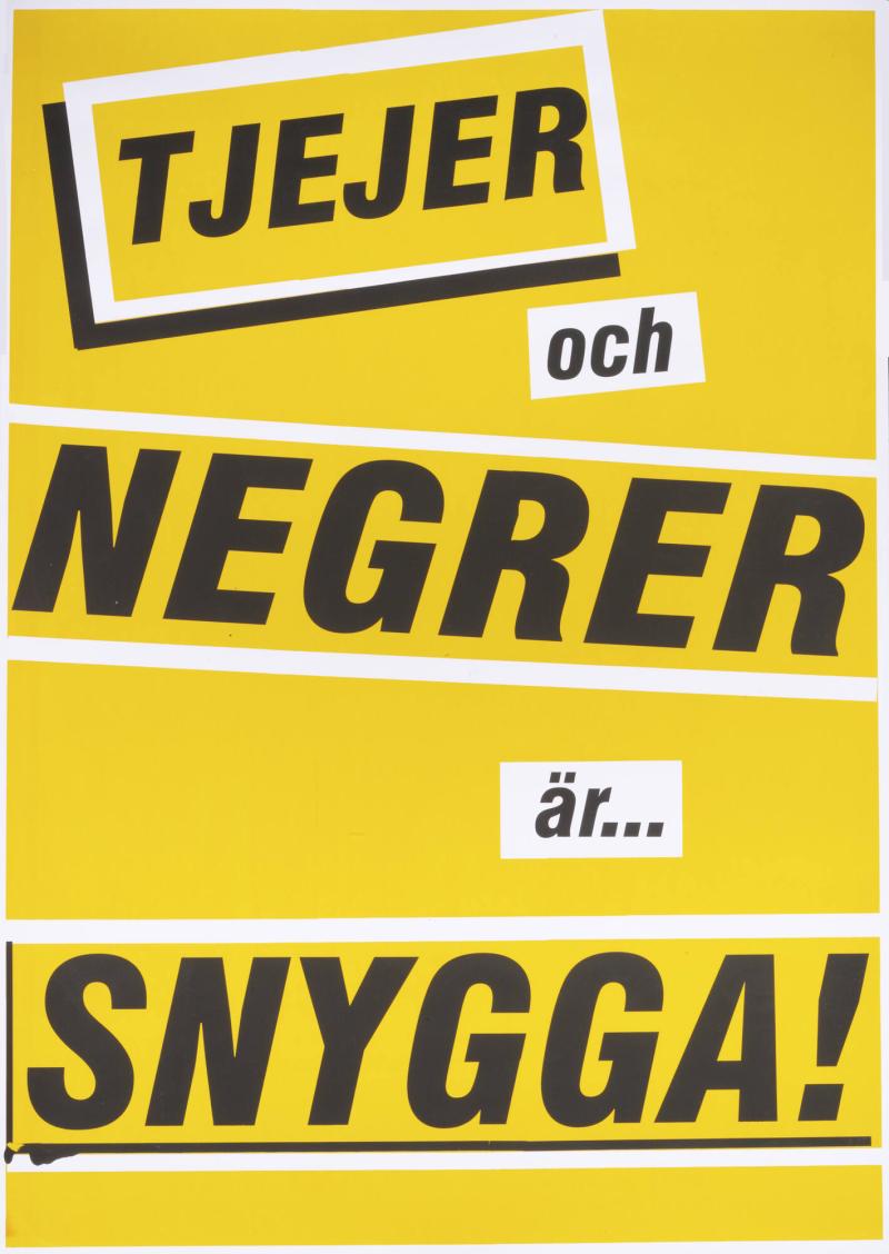 Tjejer och negrer är snygga!