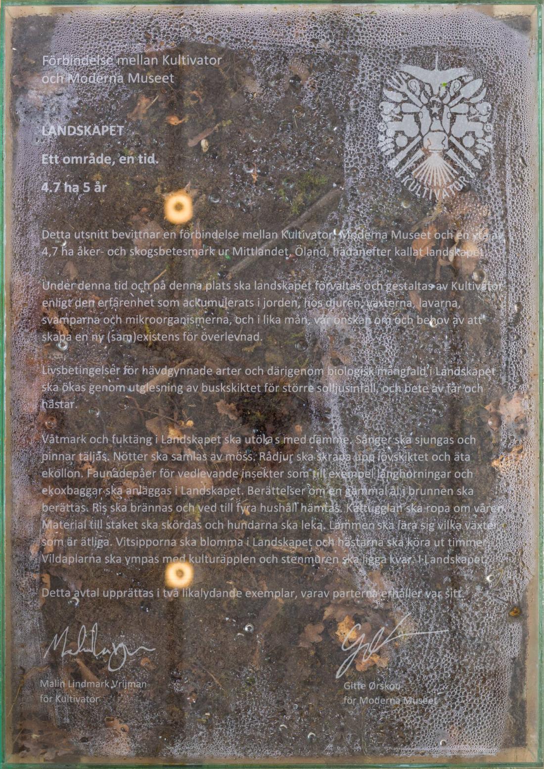 Installation Moderna Museet, maj 2022