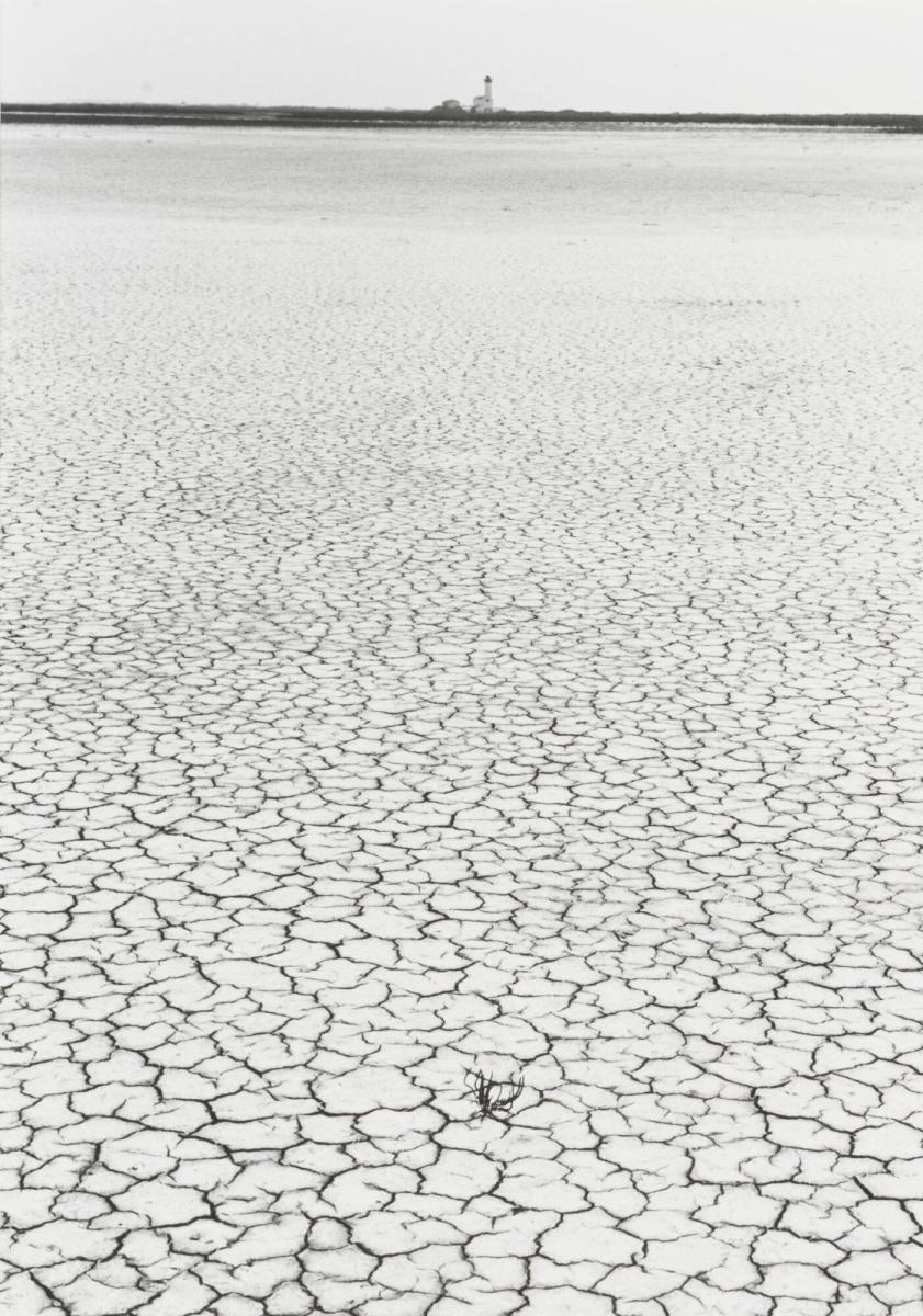 Camargue