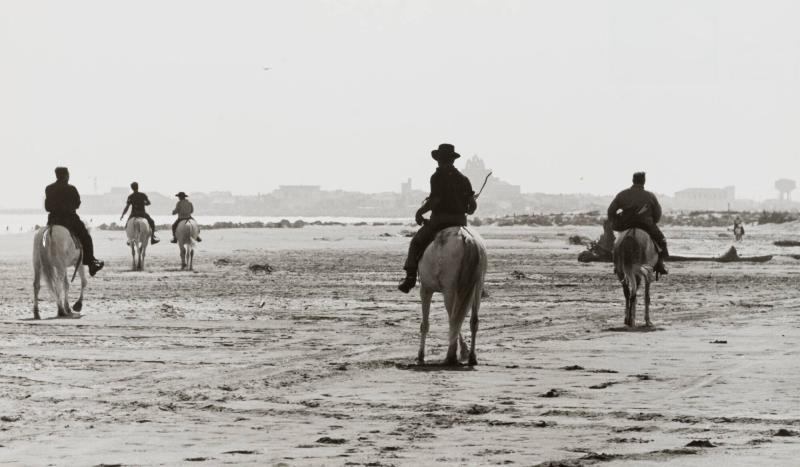 Camargue