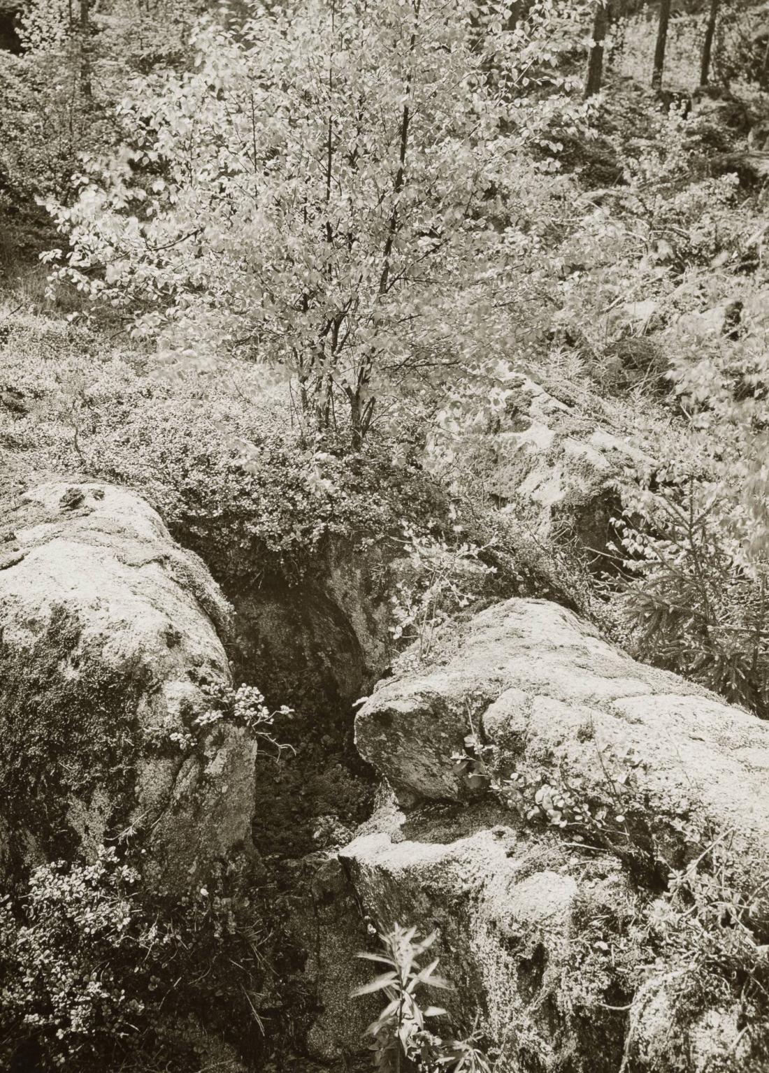 Degerfors, från den forna Svea älv