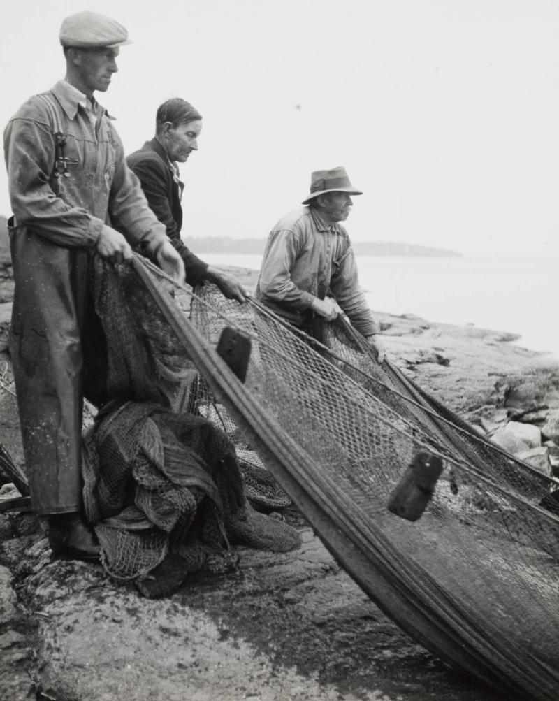 9. Strömmingsnot, Stockholms skärgård. Notens slut s.k. "påsen" dit fisken samlas drages mot land