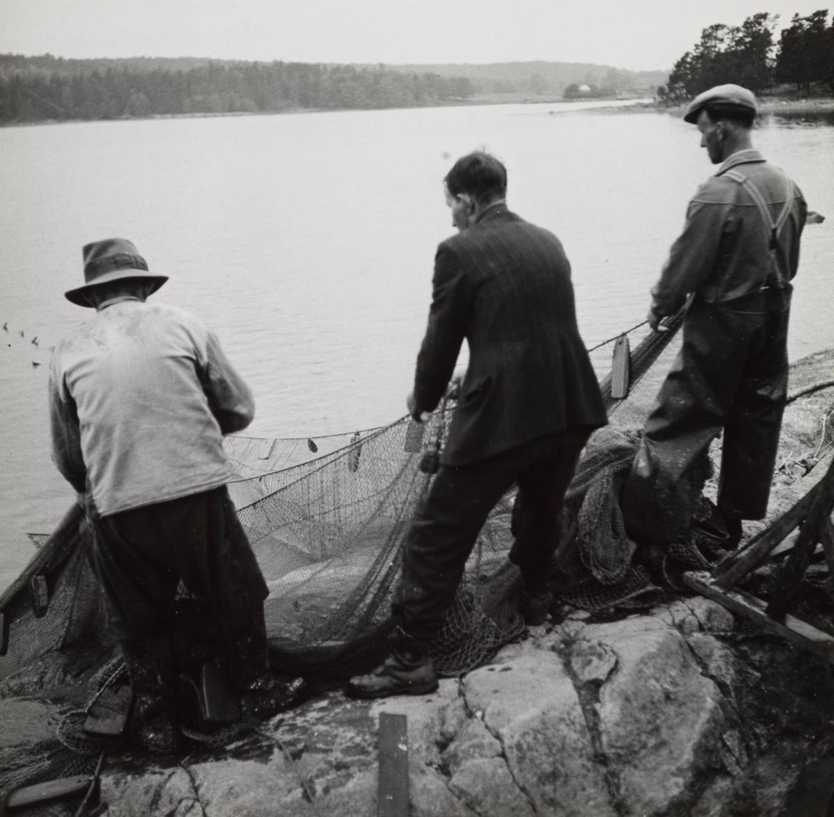 8. Strömmingsnot, Stockholms skärgård. Dragning för land börjar