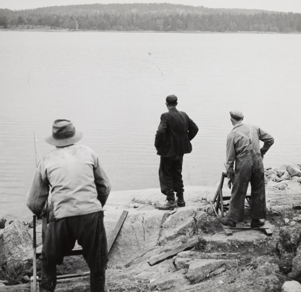 5. Strömmingsnot, Stockholms skärgård. Bugten drages in mot land