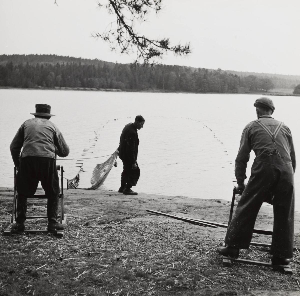 7. Strömmingsnot, Stockholms skärgård. Bugter är indragen och armarna sammanförs