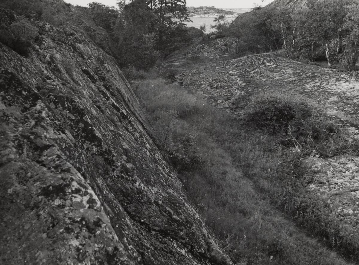 Stora Nassa, Möja, Sthlms skärgård. Stora bonden, stigen från Antes stuga