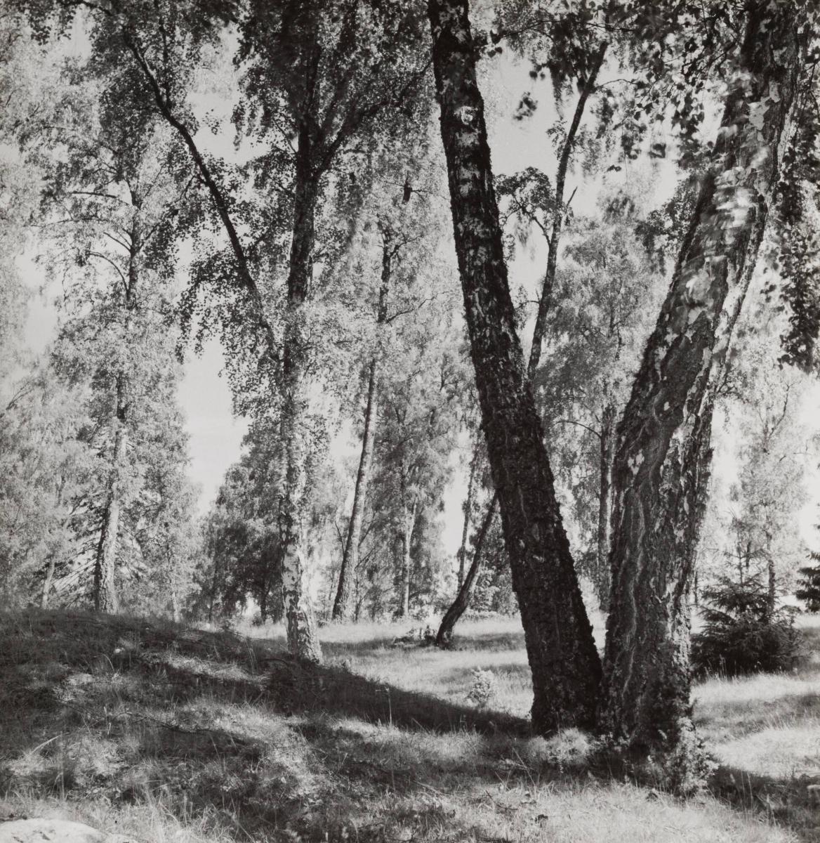 "Kung Hakes hög", Hakunge Gård, Össeby-Garn